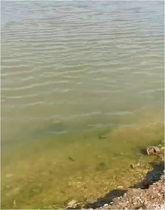 重度黑臭湖庫(kù)-大連某礦坑治理案例