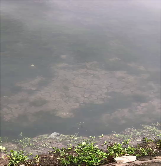 黑臭湖庫(kù)-六盤(pán)水卡達(dá)凱斯人工湖治理項(xiàng)目