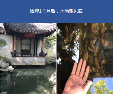 園林黑臭水體-蘇州暢園項(xiàng)目